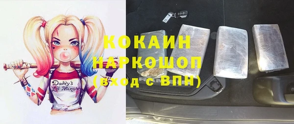 ГАЛЛЮЦИНОГЕННЫЕ ГРИБЫ Лагань