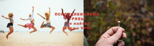 ГАЛЛЮЦИНОГЕННЫЕ ГРИБЫ Лагань