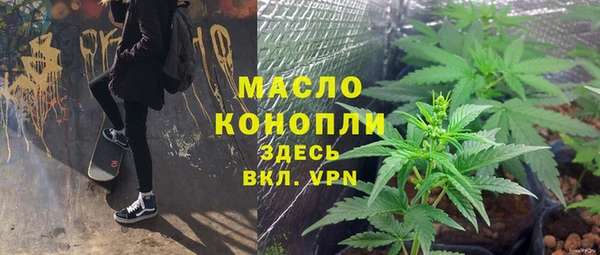 ГАЛЛЮЦИНОГЕННЫЕ ГРИБЫ Лагань