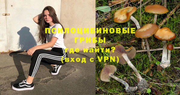 гидропоника Ладушкин