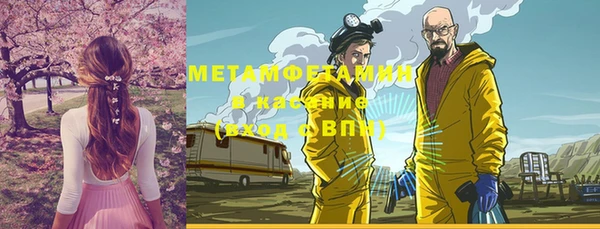 ГАЛЛЮЦИНОГЕННЫЕ ГРИБЫ Лагань
