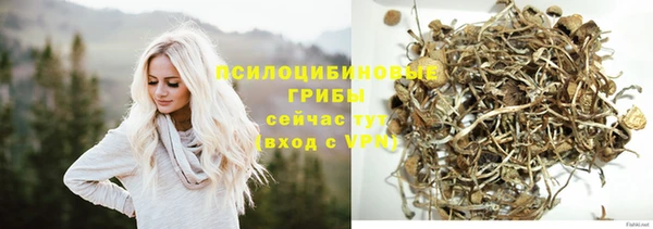 ГАЛЛЮЦИНОГЕННЫЕ ГРИБЫ Лагань